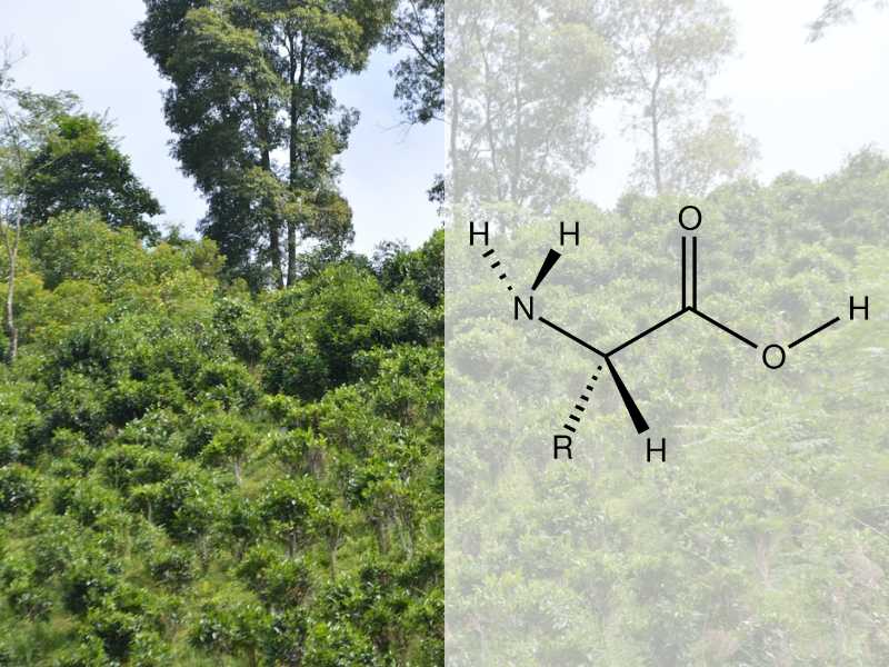 Hỗ trợ cải thiện tình trạng mất ngủ một cách hiệu quả.