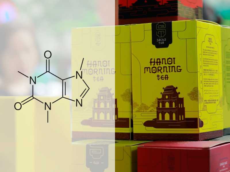 Một số thông tin về hàm lượng caffeine trong các loại trà phổ biến