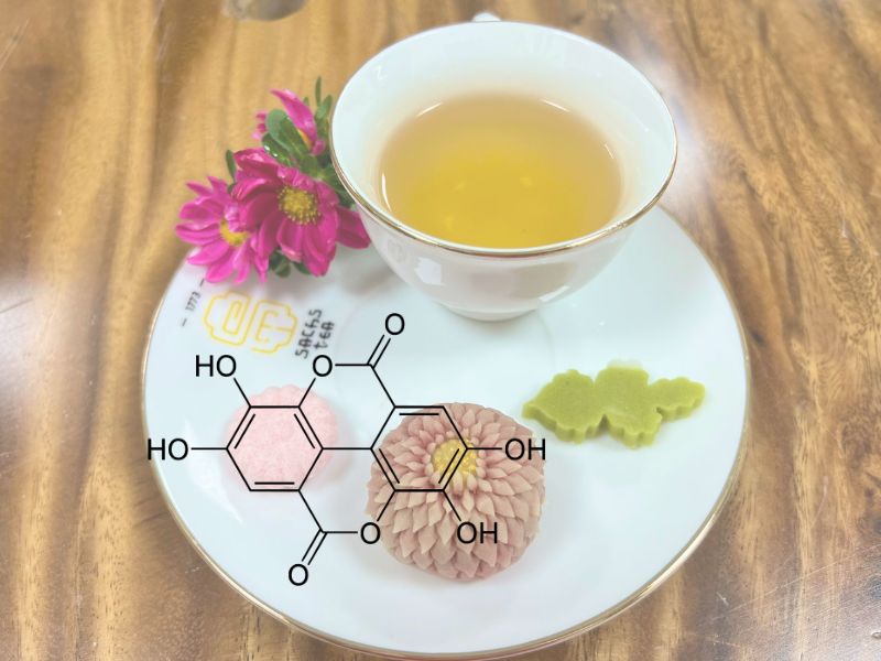 Hợp chất Polyphenols là hợp chất có nguồn gốc từ thực vật, đặc biệt có rất nhiều trong trà