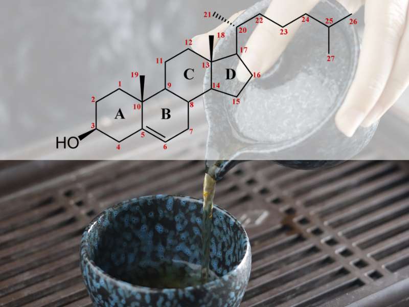 Saponin như một phương pháp tiềm năng trong việc phòng ngừa và điều trị ung thư.