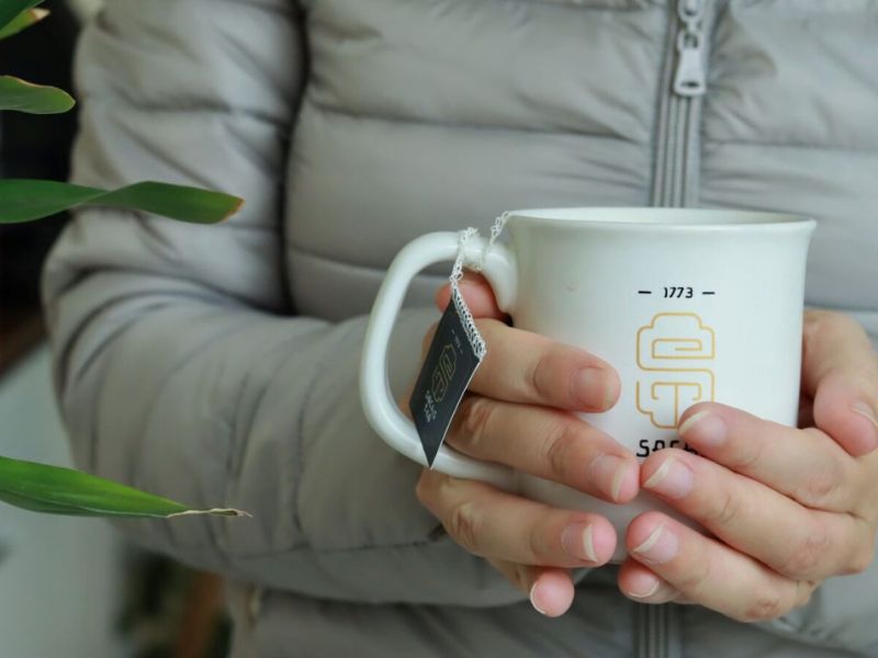 ECG và EGCG có khả năng ngăn ngừa gốc tự do gây hại và bảo vệ tế bào khỏi tổn thương DNA