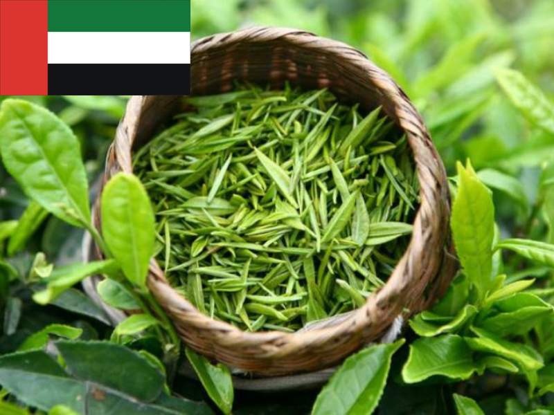 Các tiểu vương quốc Ả Rập Thống nhất đã xuất khẩu trị giá 465 triệu USD