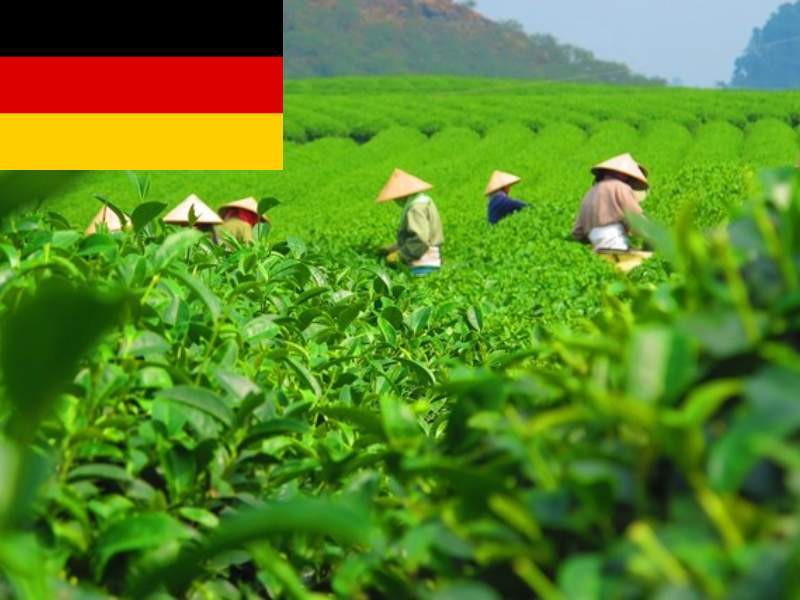Đức đã xuất khẩu chè trị giá 226 triệu USD , trở thành nước xuất khẩu chè lớn thứ 7 trên thế giới