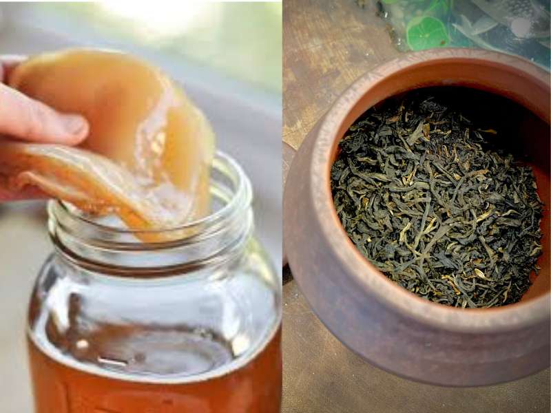 Kombucha là một loại trà lên men từ một loại nấm men được nuôi trong nước trà đen có đường