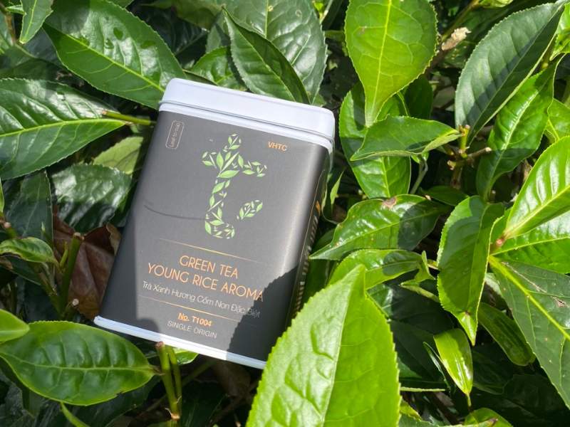 Uống trà xanh trước khi tập luyện, mang lại nhiều lợi ích đáng kể